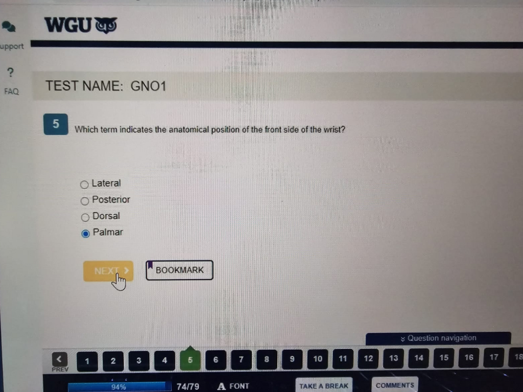 WGU D312 Anatomy & Physiology I with Lab OA1
