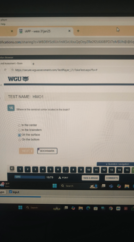 WGU D570 Cognitive Psychology OA3