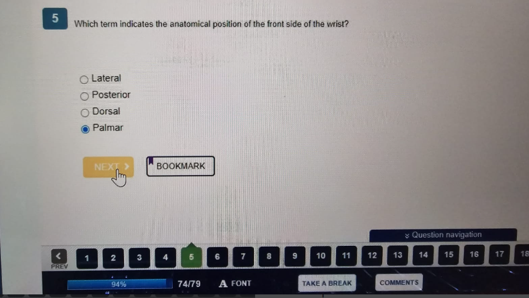 WGU D312 Anatomy & Physiology I with Lab OA2
